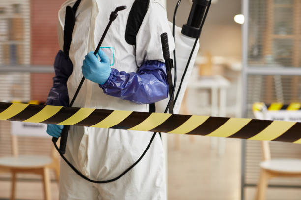 Professional Sewage Cleanup technician working in Hilo, HI